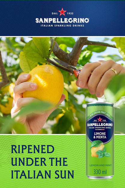Sanpellegrino Sparkling Juice Lemon & Mint 24x330ml